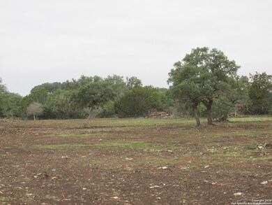 3961 County Road 251, Hondo, TX 78861 - photo 3