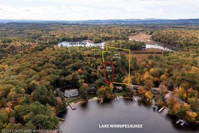 0 Wentworth Shores Rd unit 2, Moultonborough, NH 03254 - photo 7