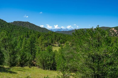 Lot 9 Sundance Rd, Cotopaxi, CO 81223 - photo 2