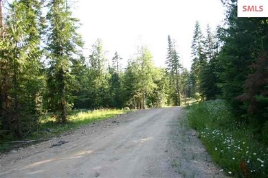 5 Larsen Ranch Ln, Sandpoint, ID 83864 - photo 7