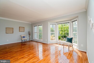 46781 Keswick Square, Sterling, VA 20165 - photo 5