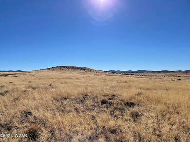 Antelope Ridge Lot 72
