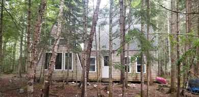 20190819_170637_resized