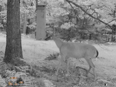 VL Par 2 W 8th St, Baldwin, MI 49304 - photo 5