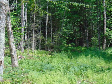 0 Slate Ledge Rd, Waterford, VT 05819 - photo 2