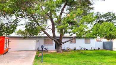 Front Yard 1