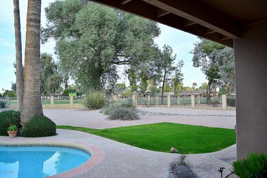 Backyard Grass Pool