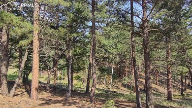 54 Garnet Way, Florissant, CO 80816 - photo 3