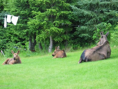 Summer locals hang around