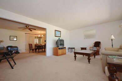 4119 E Dragoon Ave, Mesa, AZ 85206 - photo 3