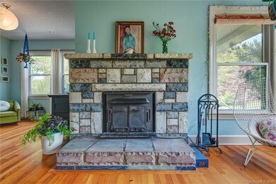 887 Old Leicester Hwy, Asheville, NC 28806 - photo 6