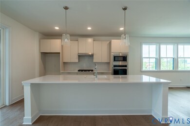 15936 Misty Blue Alley unit 51-1, Midlothian, VA 23113 - photo 3