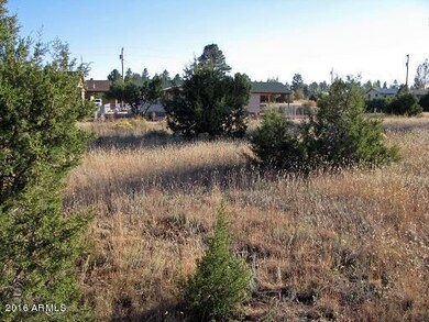 2216 Meadow-3
