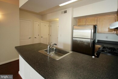 The Aurora Condominiums unit 412, Silver Spring, MD 20910 - photo 6