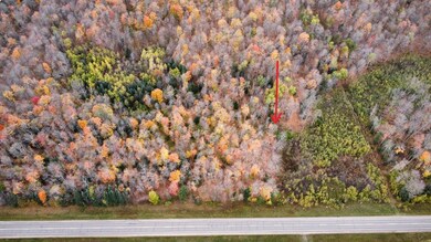 ON Cth A unit Lot 3, Deerbrook, WI 54424 - photo 3