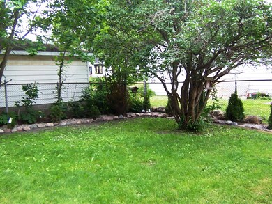 Back yard