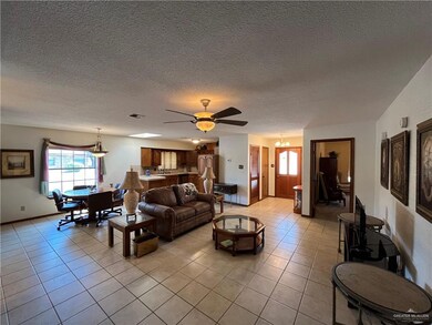 919 Citrus Dr, Alamo, TX 78516 - photo 3