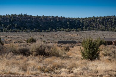 20210327-DAD_2554