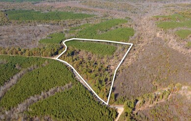 0 Old Highway 18 unit RTC2588318, Stewart, TN 37175 - photo 3