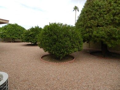 BACK YARD
