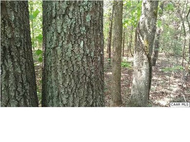 Example of hardwoods on property