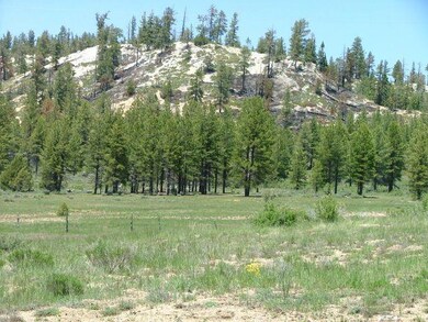 2-GD-Subdivision Surrounded By Dixie Nat