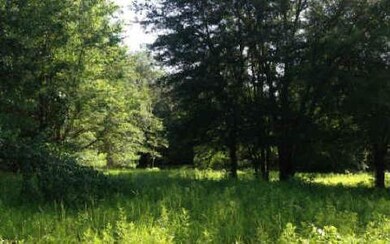 0 Bald Eagle Loop unit 96273, Lake City, FL 32025 - photo 4