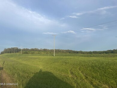 0 Lewis Ln unit 24219131, Starkville, MS 39759 - photo 5