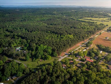 09 Moorefield Memorial Hwy, Liberty, SC 29657 - photo 6