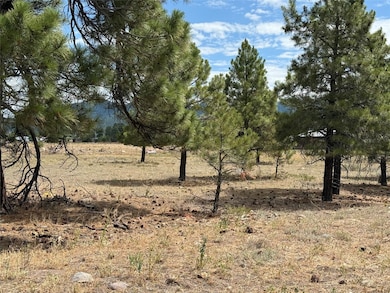 0 Thistle Loop unit 202503287, Chama, NM 87520 - photo 3