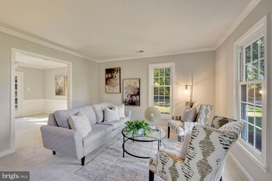 6615 Saint Mark Ct, Alexandria, VA 22306 - photo 3