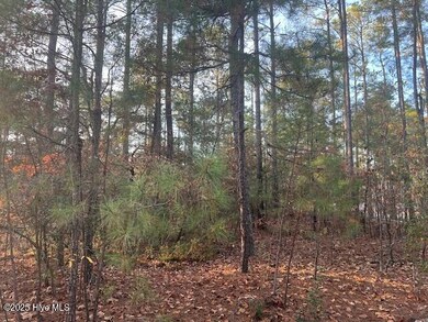 00 Mckenzie Ln, Aberdeen, NC 28315 - photo 2