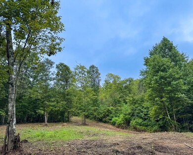 Tract 6 Sheep Ranch Rd, Robbins, TN 37852 - photo 4