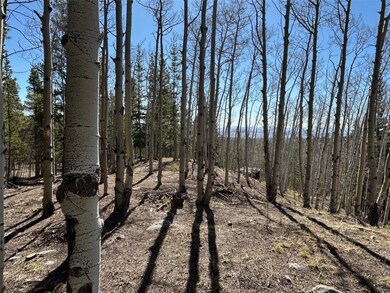 View of woods