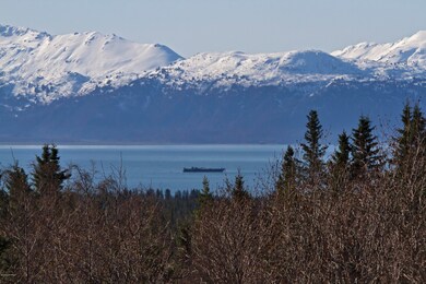 000 E End Road Homer AK 99603