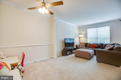 505 Galway Ln, Stafford, VA 22554 - photo 6