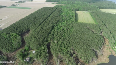 0 State Road 1722, Bath, NC 27810 - photo 6