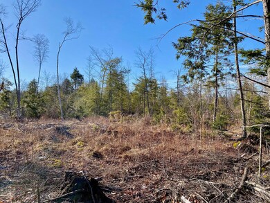 Lot 3 Great Falls Rd, Gorham, ME 04038 - photo 3