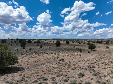 TL 500 Sheep Lake Rd, Riley, OR 97758 - photo 4