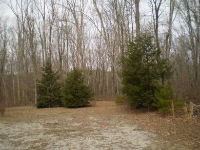 Entrance to Lot 6 and Lot 5 Trail Easement from Lot 5 driveway!