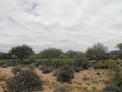 Lot 341 Pic 1