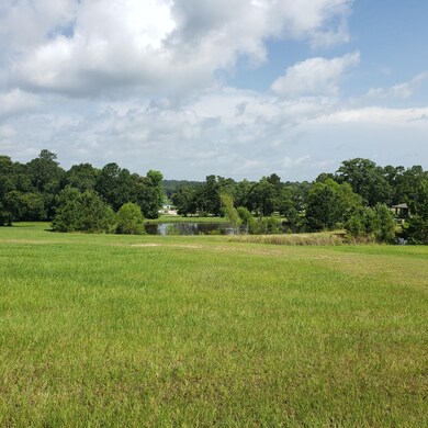 34 Silver Lakes Dr, Huntsville, TX 77340 - photo 3