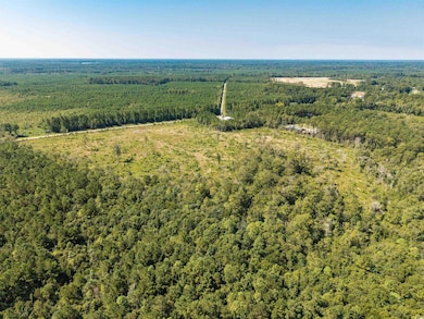 TBD Pitch Landing Rd, Conway, SC 29527 - photo 5