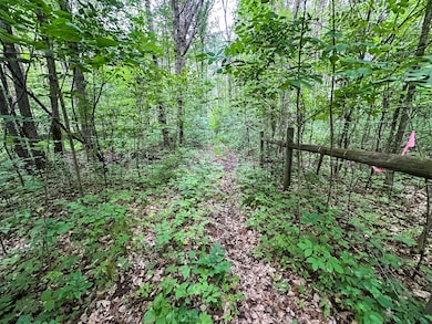 Tbd U S 12, Wilson, WI 54027 - photo 3