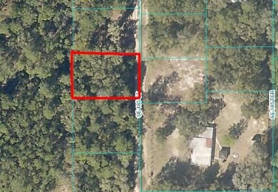 0 SE 185th Ct unit MFROM698246, Ocklawaha, FL 32179 - photo 2