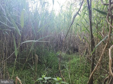 0 Wesley Rd unit MDDO2006240, Wingate, MD 21675 - photo 6