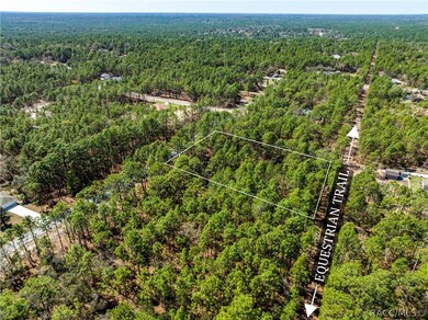 5783 W Cisco St, Beverly Hills, FL 34465 - photo 4