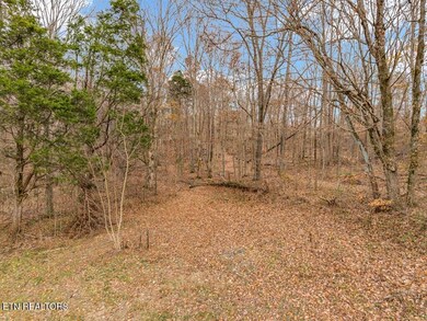 4934 N York Hwy, Pall Mall, TN 38577 - photo 7