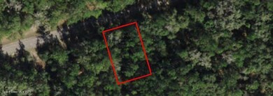 814 E Byrd Loop, Citrus Springs, FL 34434 - photo 2