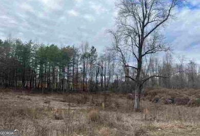 0 Asbestos Rd unit 10644874, Cleveland, GA 30528 - photo 3